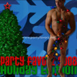 Holiday Edition 2007 v1