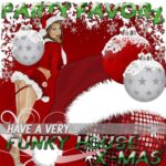 A Very Funky House X-mas