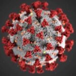 Coronavirus Update Coronavirus