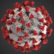 Coronavirus