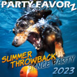 Dog underwater chasing a ball in a swimming pool for the coverart of Summer Throwback 2023 featuring Old Skool Funk House Music from the 80s and 90s