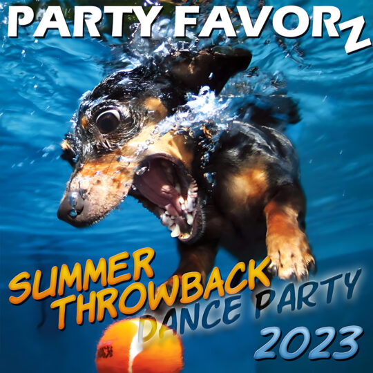 Dog underwater chasing a ball in a swimming pool for the coverart of Summer Throwback 2023 featuring Old Skool Funk House Music from the 80s and 90s